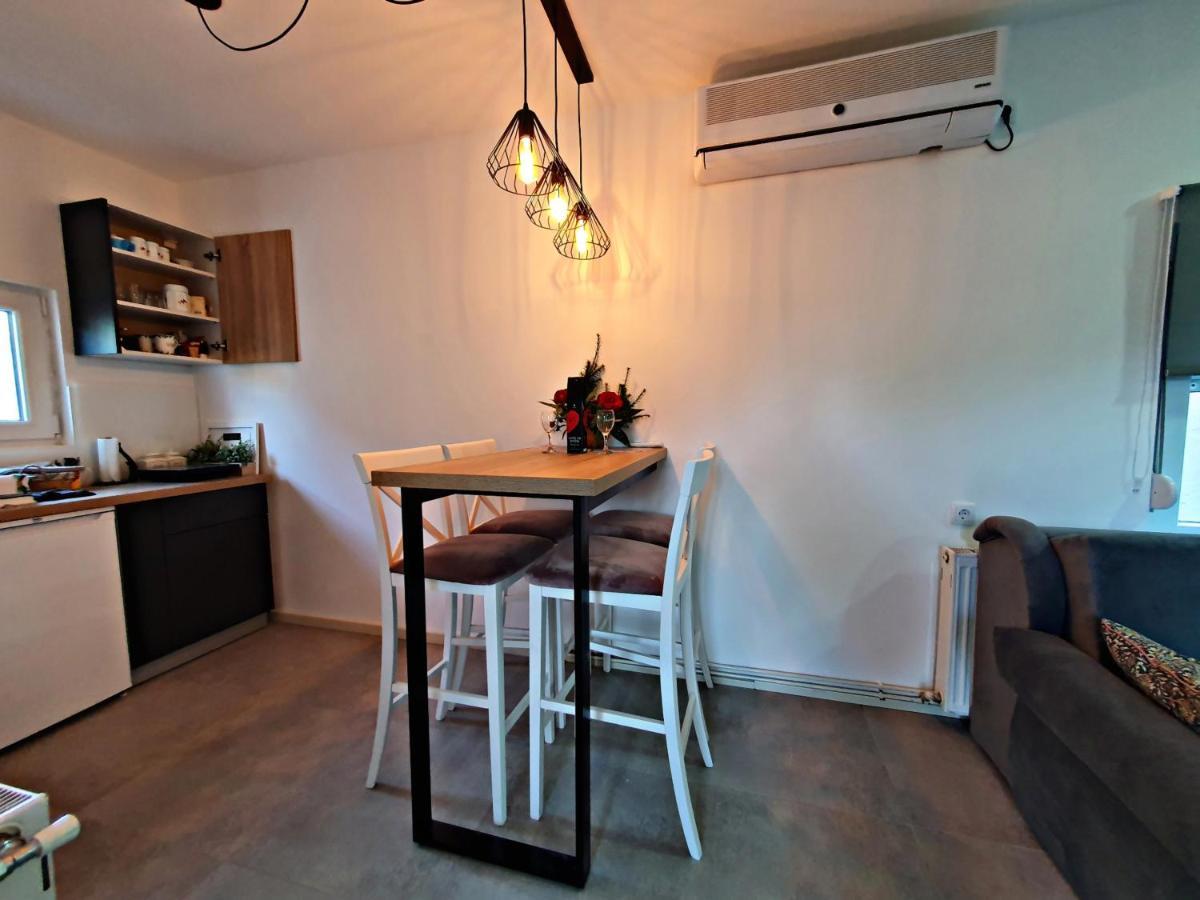 Luxor Apartmani 2 Vrnjačka Banja Zewnętrze zdjęcie