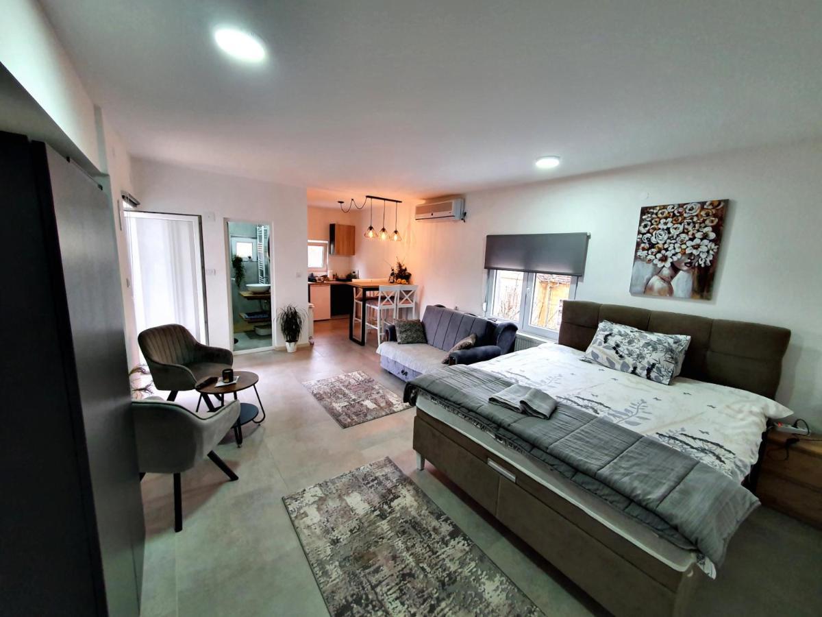 Luxor Apartmani 2 Vrnjačka Banja Zewnętrze zdjęcie