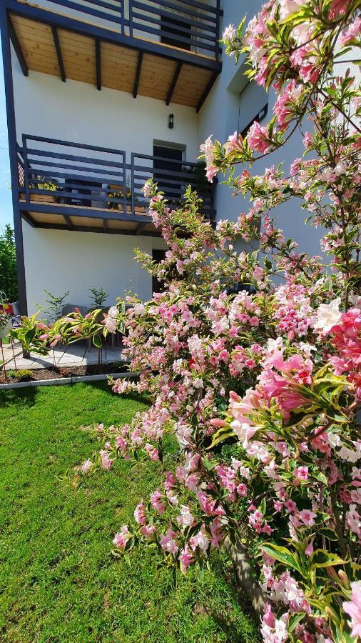 Luxor Apartmani 2 Vrnjačka Banja Zewnętrze zdjęcie